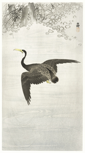 Cormorant in flight 1900 - 1930 by Ohara Koson 1877-1945.