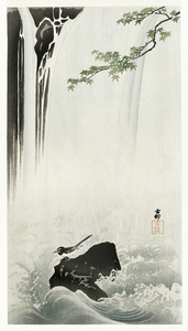 Japanese wagtail at waterfall 1900 - 1930 by Ohara Koson 1877-1945.
