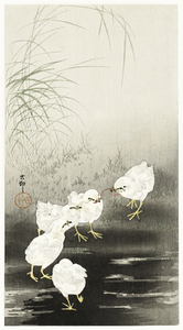 Chicks eating worms 1900 - 1930 by Ohara Koson 1877-1945.