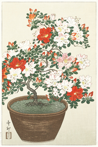 Blooming azalea in brown pot 1920 - 1930 by Ohara Koson 1877-1945.