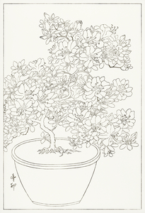 Blooming azalea in pot 1920 - 1930 by Ohara Koson 1877-1945.