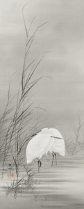 Egrets in a swamp 1877-1945 by Ohara Koson 1877-1945.