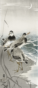 Oeverlopers at sickle moon 1900 - 1910 by Ohara Koson 1877-1945.