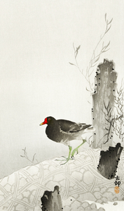 Moorhen 1900 - 1936 by Ohara Koson 1877-1945.