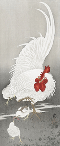Rooster and three chicks 1900 - 1910 by Ohara Koson 1877-1945.