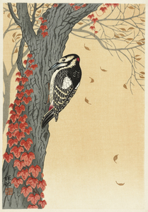Great spotted woodpecker in tree with red ivy 1925 - 1936 by Ohara Koson 1877-1945.