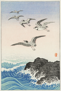Five seagulls above the sea 1900 - 1945 by Ohara Koson 1877-1945.