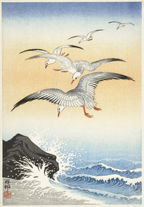 Five seagulls above turbulent sea 1900 - 1930 by Ohara Koson 1877-1945.