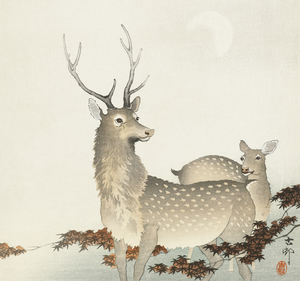 Couple of deers 1900 - 1930 by Ohara Koson 1877-1945.