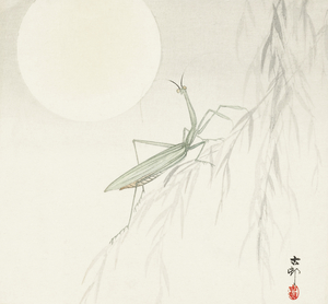 Praying mantis 1900 - 1936 by Ohara Koson 1877-1945.