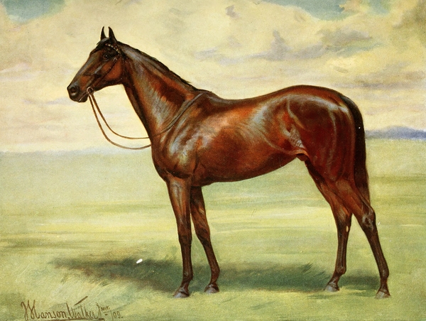 Minoru John Hanson Walker Jr. English 1844-1933 Print