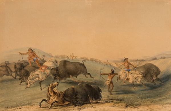 Buffalo Hunt Chase 1844 Print