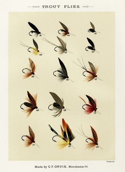 Trout Flies  Print