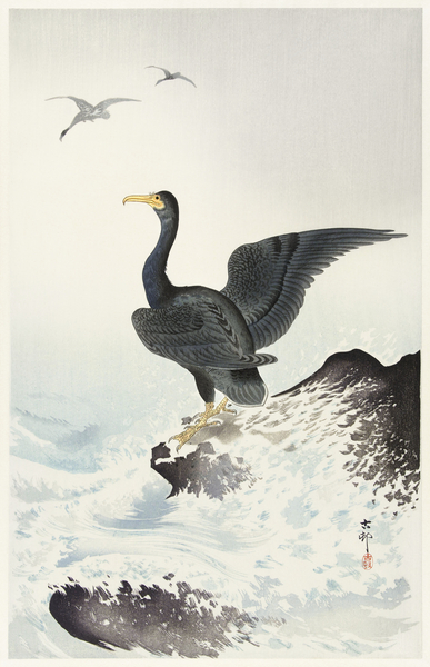 Red mask cormorant on rock 1900 - 1936 by Ohara Koson 1877-1945. Print