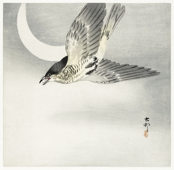 Cuckoo at crescent moon 1900 - 1930 by Ohara Koson 1877-1945. Print
