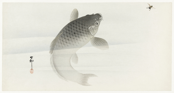 Ohara Koson Illustrations