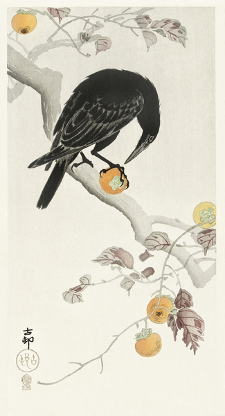 Crow with kaki fruit 1900 - 1910 by Ohara Koson 1877-1945. Print
