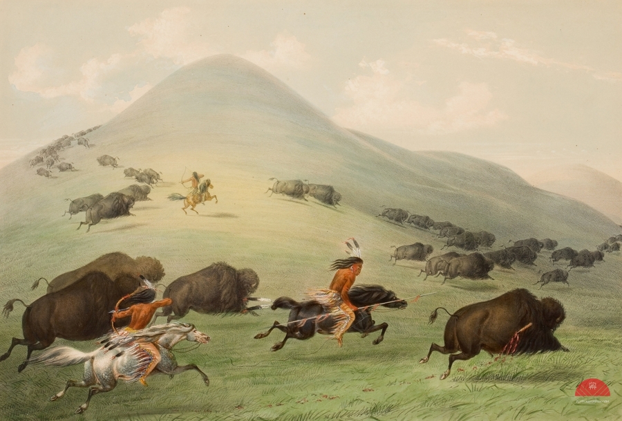 Buffalo Hunt Horseback 1844  Print