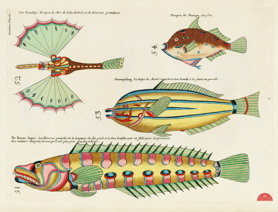 Colourful and surreal illustrations of fishes found in Moluccas Indonesia and the East Indies by Louis Renard 1678 -1746 from Histoire naturelle des plus rares curiositez de la mer des Indes 1754.  Imprimer