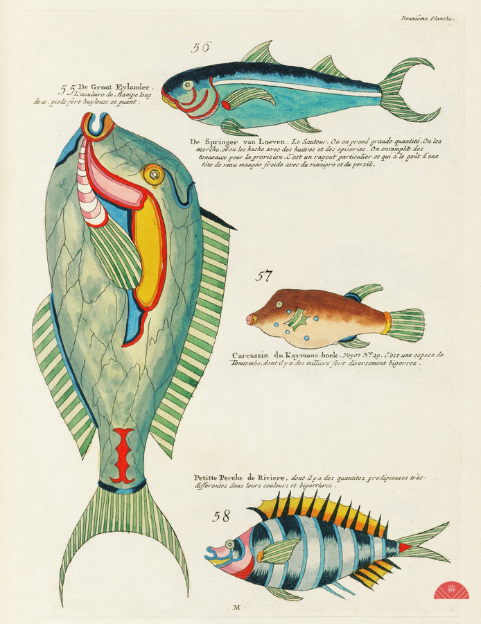 Colourful and surreal illustrations of fishes found in Moluccas Indonesia and the East Indies by Louis Renard 1678 -1746 from Histoire naturelle des plus rares curiositez de la mer des Indes 1754.  Imprimer