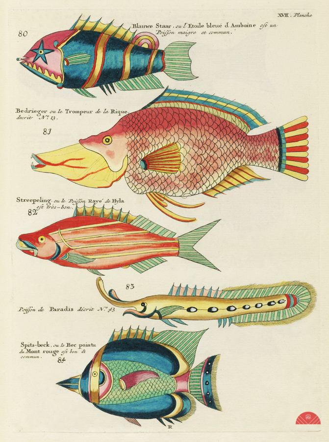 Colourful and surreal illustrations of fishes found in Moluccas Indonesia and the East Indies by Louis Renard 1678 -1746 from Histoire naturelle des plus rares curiositez de la mer des Indes 1754.  Print