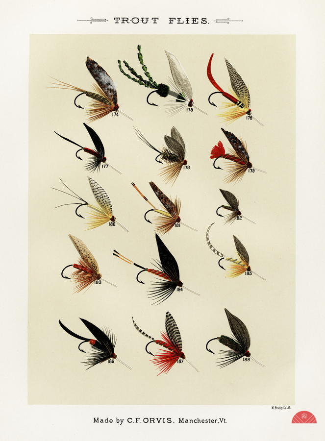 Trout Flies   Imprimer