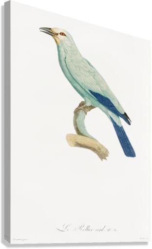 Green roller Canvas Print