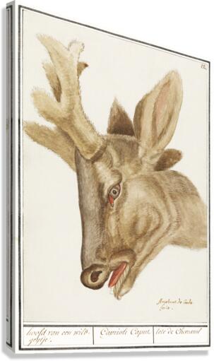 Deer head in vintage style Canvas Print