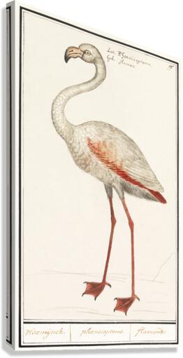 Flamingo in vintage style Canvas Print