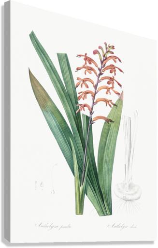 African flag illustration  Canvas Print