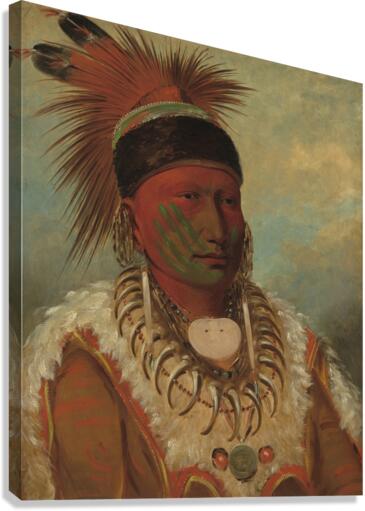 The White Cloud Head Chief of the Iowas 1844-1845 Canvas Print