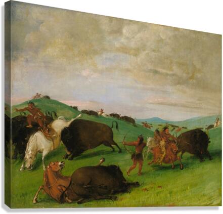 Buffalo Chase Bulls Making Battle With Men And Horses 1832-1833 Canvas Print