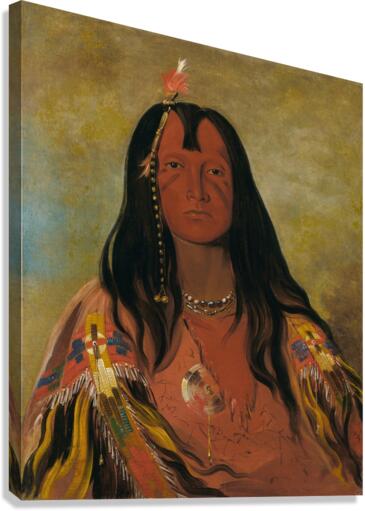 H’co-A-H’co-A-H’cotes-Min No Horns On His Head a Brave 1832 Canvas Print