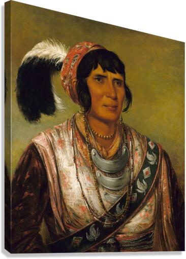 Os-Ce-O-Lá The Black Drink a Warrior of Great Distinction 1838 Canvas Print