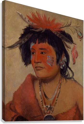 Pah-Shee-Náu-Shaw a Warrior 1831 Canvas Print