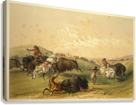 Buffalo Hunt A Numerous Group 1844 Canvas Print