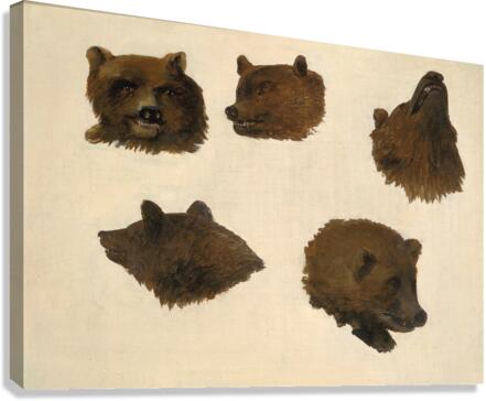 Portraits of Two Grizzly Bears From Life 1839-1840 Canvas Print