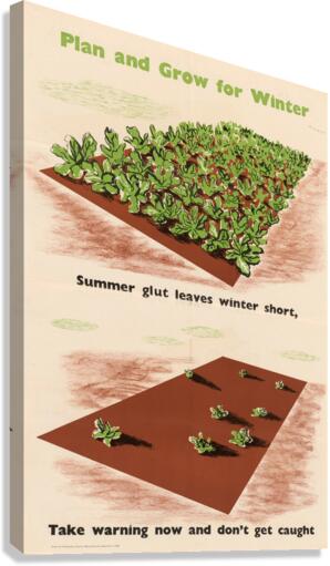 Plan and Grow for Winter – Summer Glut Leaves Winter Short – Take Warning Now and Don’t Get Caught Canvas Print