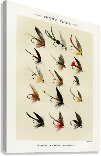 Trout Flies  Canvas Print
