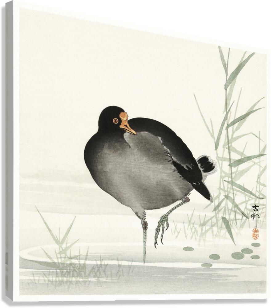 Torii in the snow 1900 - 1910 by Ohara Koson 1877-1945. Canvas Print