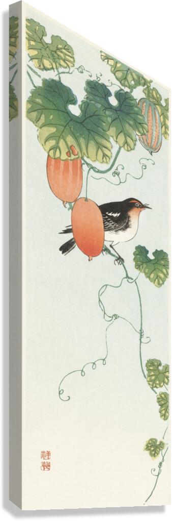 Songbird in cucumber plant 1925 - 1936 by Ohara Koson 1877-1945. Canvas Print