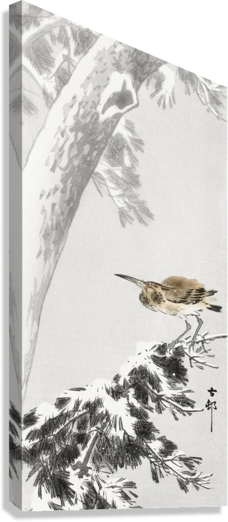 Indian quack on snowy tree branch 1900 - 1930 by Ohara Koson 1877-1945. Canvas Print