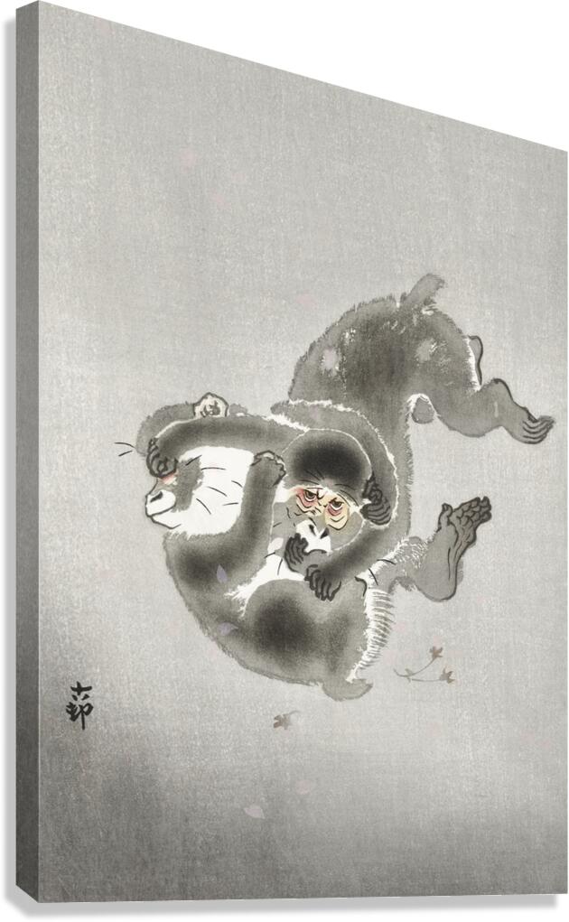 Two playing monkeys 1900 - 1930 by Ohara Koson 1877-1945. Canvas Print