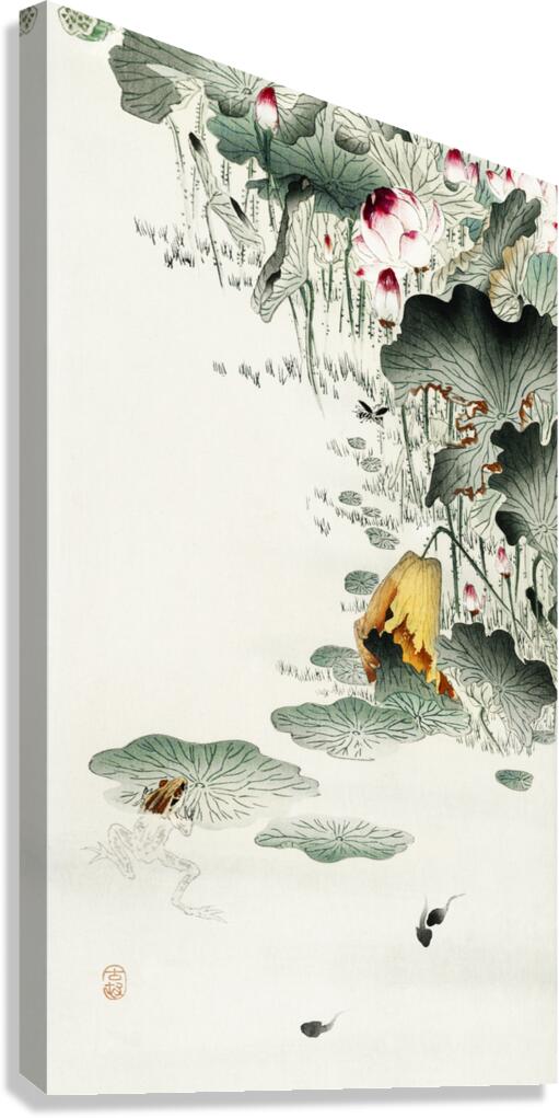 Frog and tadpoles 1900 - 1930 by Ohara Koson 1877-1945. Canvas Print