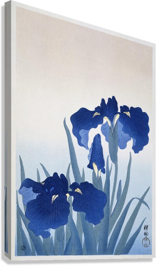 Iris flowers 1925 - 1936 by Ohara Koson 1877-1945. Canvas Print