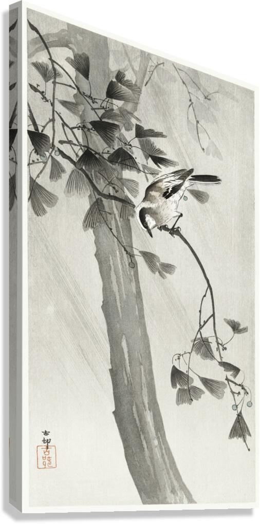 Long-tailed tit in storm 1900 - 1936 by Ohara Koson 1877-1945. Canvas Print