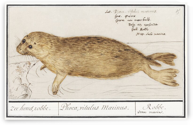 Seal in vintage style by IStockHistory com