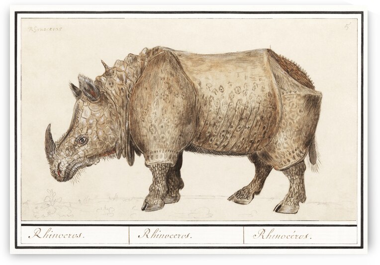 Rhinoceros in vintage style by IStockHistory com