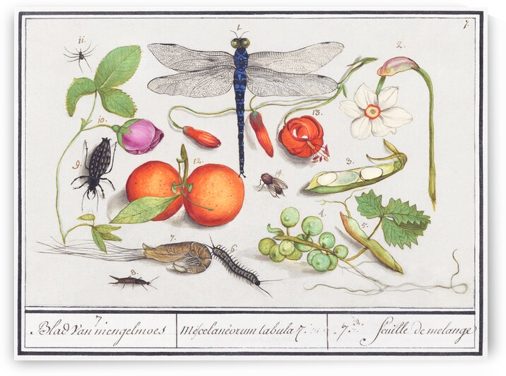 Nature ensemble in vintage style by IStockHistory com