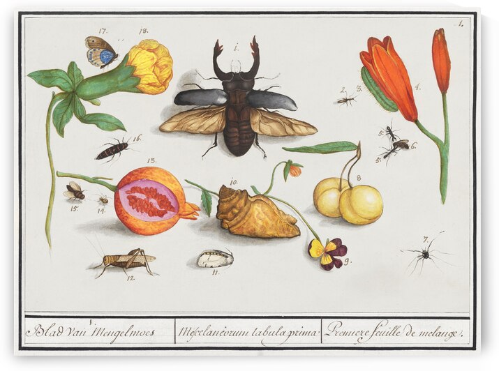 Nature ensemble in vintage style by IStockHistory com